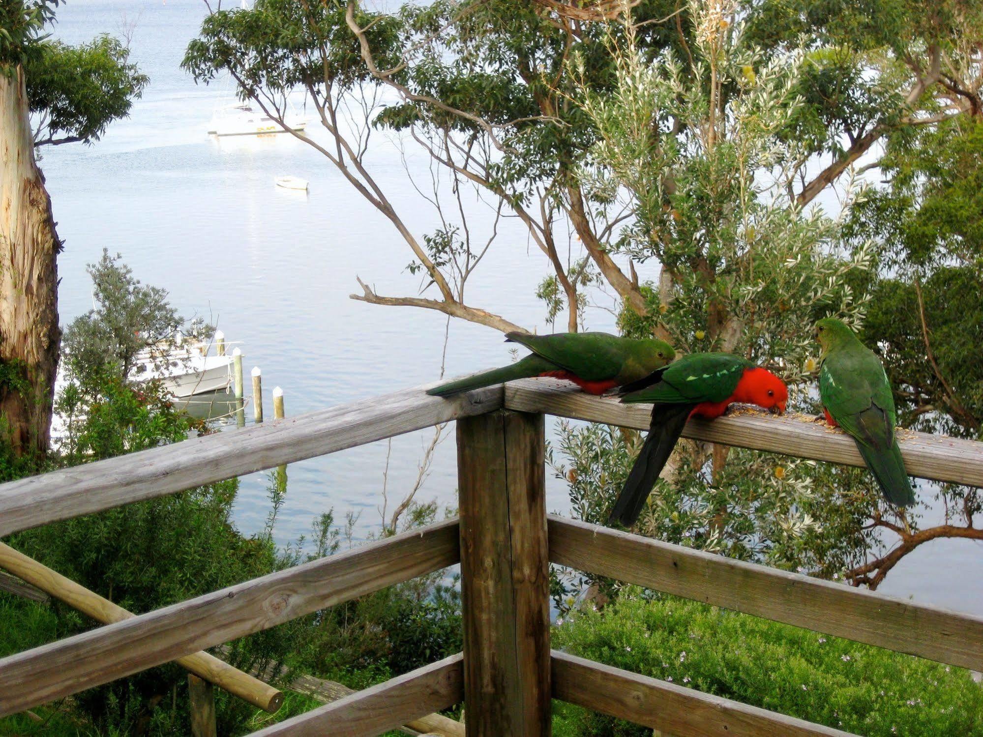 Appartement Jetty Road Retreat à Nungurner Extérieur photo